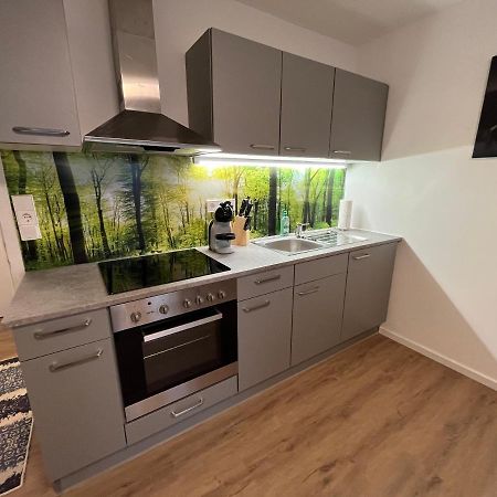 Modernes 4Er Apartment In Skilift-Naehe Zell am See Esterno foto